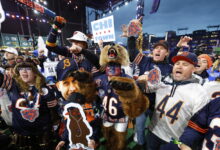 Bears Fans React as Hammond Stadium Plan Drags On