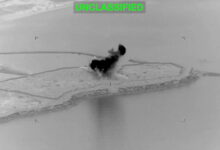 Iran fires missiles at Bahrain, Kuwait after drones shot