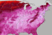 Heat dome pushes NYC, Philly, Boston, DC toward records