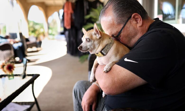 Commentary: The joy and heartbreak of adopting a senior dog