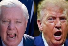 Lindsey Graham Names 1 Thing Trump ‘Loves’ In Chilling New Video