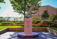 Liverpool unveil ‘Forever 20’ memorial for Jota brothers