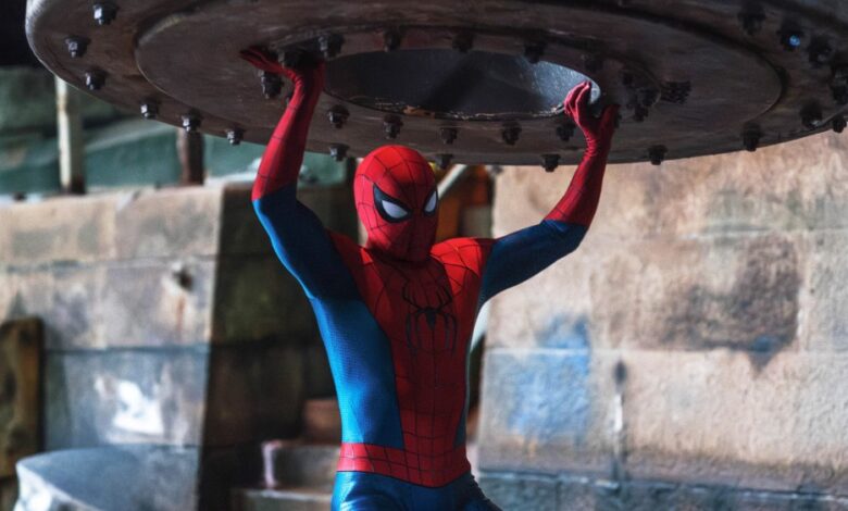 The Next Spider-Man Actor: Tom Holland Has a ‘Clear Vision’ For His Successor and a ‘Whole Plan’ Is Already ‘Laid Out’