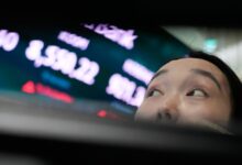 Chip sell-off chills global markets as oil dips