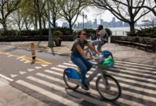 It Doesn’t Get Much Dumber Than Trump’s War on ‘DEI Bike Lanes’