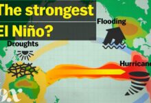 How a super El Niño affects the global climate