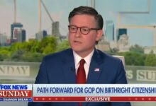 Mike Johnson readies legislative push after birthright ruling