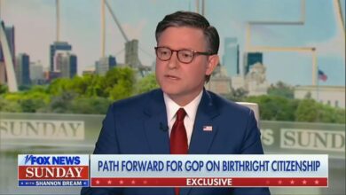 Mike Johnson readies legislative push after birthright ruling Mike Johnson readies legislative push after birthright ruling