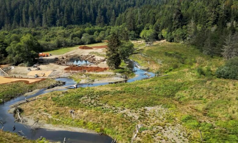California redwoods gateway is returned to Indigenous tribe. ‘That’s healing our people too’