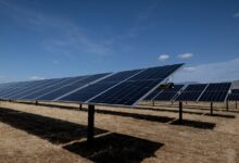 California produced over half its May electricity from solar, a world record