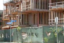 Abandoned West Hollywood construction site becomes ‘coyote condo’ with nighttime howls