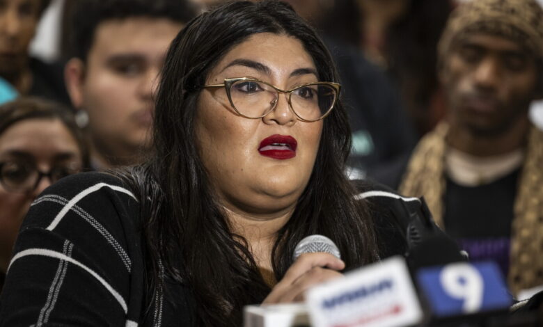 Democratic state lawmakers push to hold ICE accountable nationwide