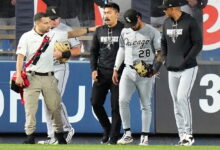 White Sox outfielder Everson Pereira says he won’t think twice about running into walls