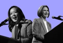 Has the Left Really Met Its Limit? 