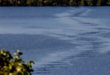 Authorities have identified person found dead in Cambridge pond