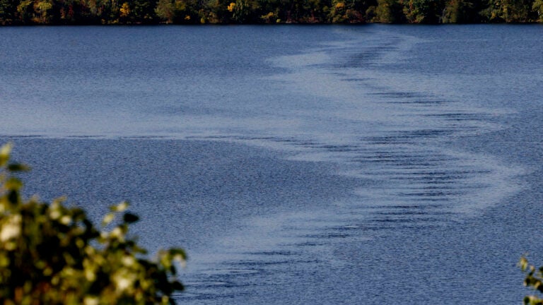 Authorities have identified person found dead in Cambridge pond Authorities have identified person found dead in Cambridge pond
