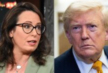 Maggie Haberman Raises Chilling Question About Trump And A Dem-Controlled Congress