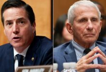Sen. Bernie Moreno Attacks Anthony Fauci In Foul Rant: ‘Who The F**k Do You Think You Were?’