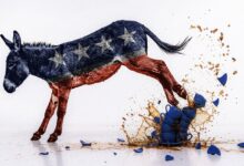 Democrats Confront Their New Tea Party Reality