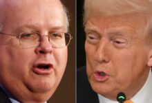 Karl Rove Spots GOP’s Big Midterm Messaging Problem