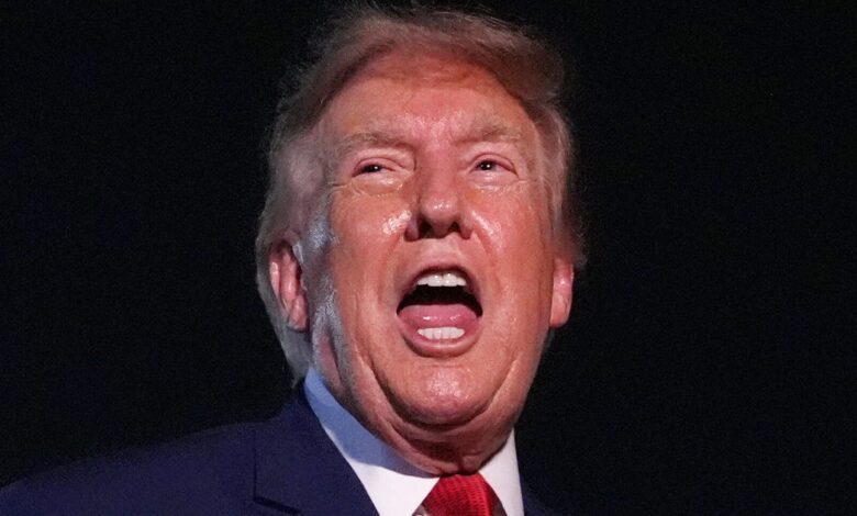 ‘Coward And Liar’: Critics Trash Trump’s New Air Force One Claim As ‘Utter Nonsense’ ‘Coward And Liar’: Critics Trash Trump’s New Air Force One Claim As ‘Utter Nonsense’