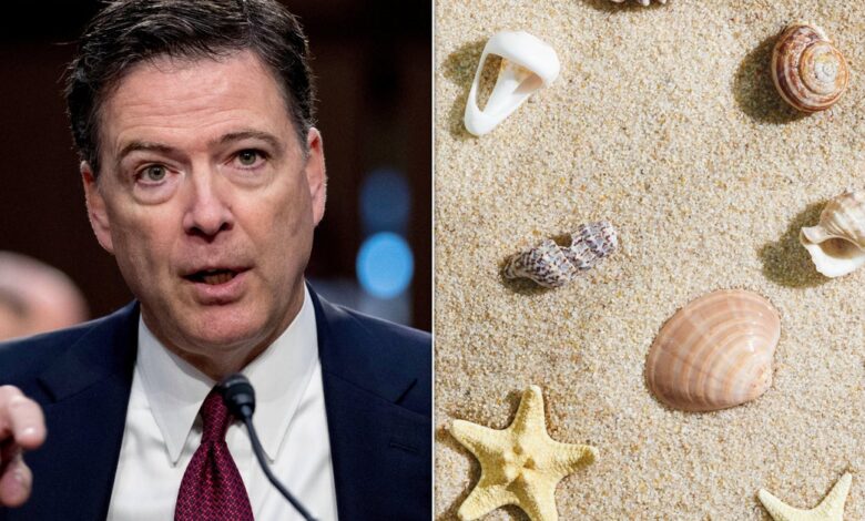 Prosecutors: ‘No Serious Dispute’ Comey Seashell Post Could Be Read As Trump Threat