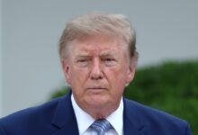 RNC Head Blames Trump’s Bad Approval Rating On … Guess Who?