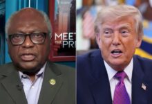 Democratic Rep Makes Logical Argument Against Impeaching Trump