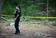 Cohasset police investigating death of man found injured on wooded trail