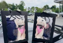 Needham police praise children who called 911 to help choking family member