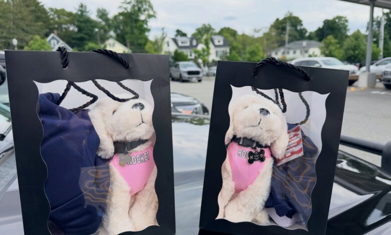 Needham police praise children who called 911 to help choking family member Needham police praise children who called 911 to help choking family member