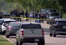 Active scene at in-home daycare in Hopkins, Minnesota