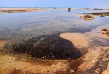 Ecocide in Iran