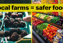 Is the food at the farmers market safer?
