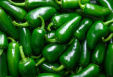 How to keep up with latest outbreaks of foodborne illness, including one surrounding jalapenos – WTOP News