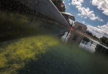 DOJ reverses charges in Reflecting Pool vandalism case