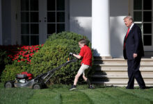 “I’m very good at grass”: Trump assures the U.S. amid his renovation projects