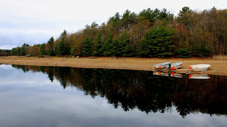 3 New England campsites named among the best newcomers in 2026 by Hipcamp
