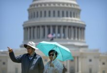 This summer’s hottest accessory: Sun protection – WTOP News
