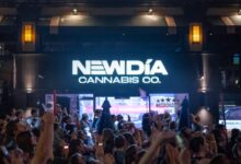 Phish brought near-record crowds to this Fenway dispensary — but not a product shortage