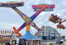 From funnel cake to farm animals: ‘9 best days of summer’ begins in Montgomery County – WTOP News