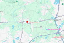 Child suffers life-threatening injuries as tree falls at Wayland camp