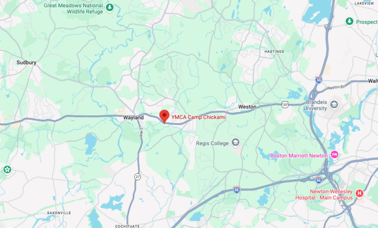 Child suffers life-threatening injuries as tree falls at Wayland camp
