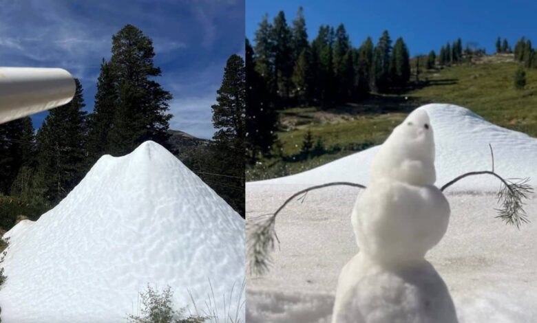 Nevada Ski Area Hosts August Snow Event