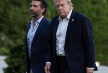 Trump’s Stock Portfolio Has Moved Up To  Billion Since Returning to Office