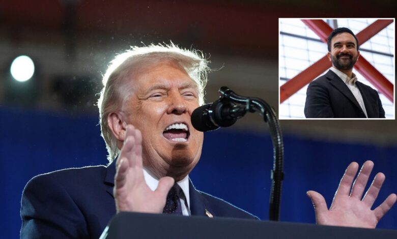 Trump Targets Zohran Mamdani’s Pied-à-Terre Tax With Fed Government Intervention: ‘Must Be Stopped, NOW!’ Trump Targets Zohran Mamdani’s Pied-à-Terre Tax With Fed Government Intervention: ‘Must Be Stopped, NOW!’