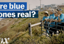Can a community be designed to live longer?