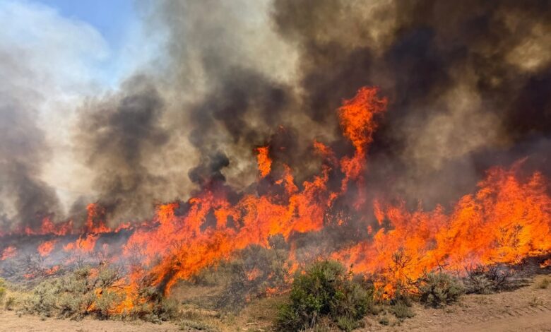 Dangerous wildfire keeps crews from reaching helicopter crash in Utah – WTOP News
