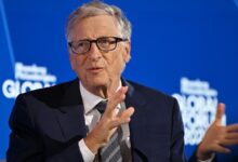 Bill Gates diagnoses problems with AI, but an expert questions his prescription