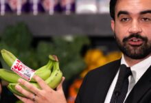 The hidden cost of Mamdani’s plan for cheap groceries